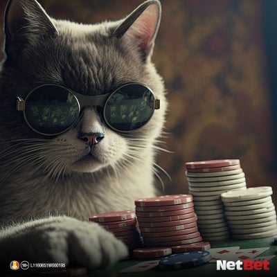 all-in în poker