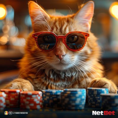 matematica în poker